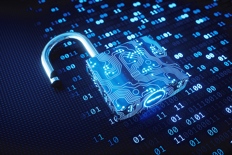 Solicitud Perforación Superar Ley de protección de datos: ¿qué es y cómo garantiza nuestro derecho a la  intimidad? | Netatmo