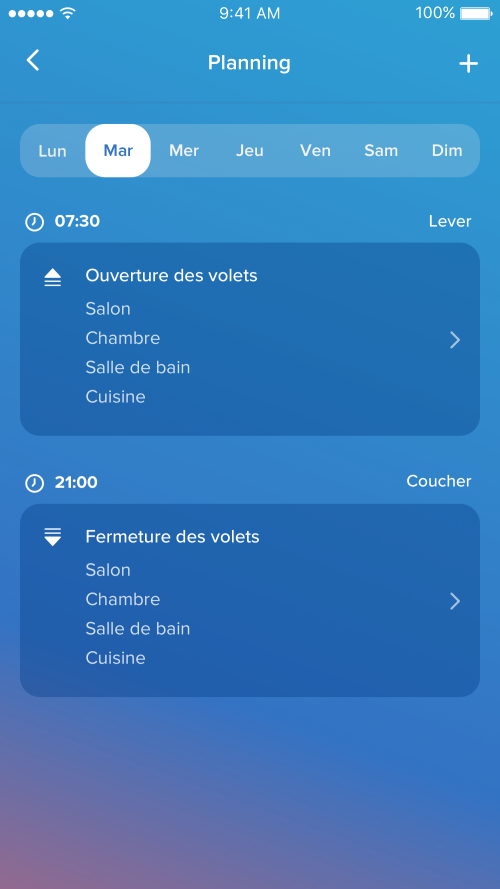 Bubendorff application planning view